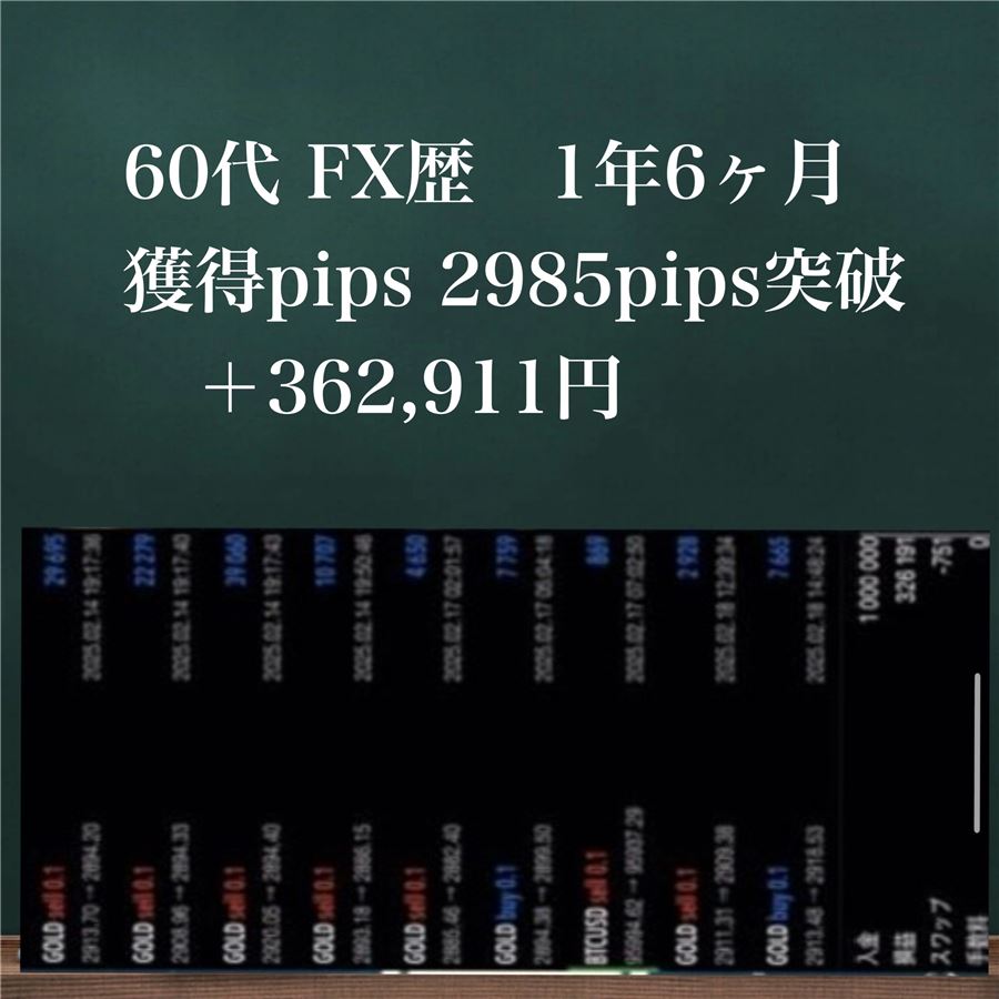 60代・FX歴1年6か月の参加者の例。ゴールドの取引履歴