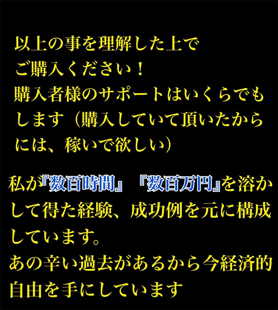 「以上の事を理解した上でご購入ください」。購入者のサポートはいくらでもするとの記載