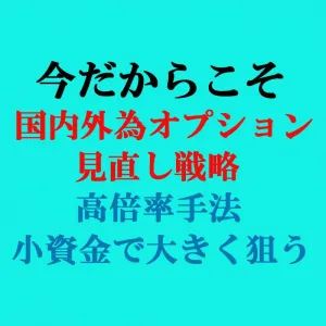 国内外為オプション見直し戦略の商品画像