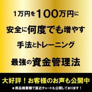 1万円から100万円に何度でも増やす手法の商品画像