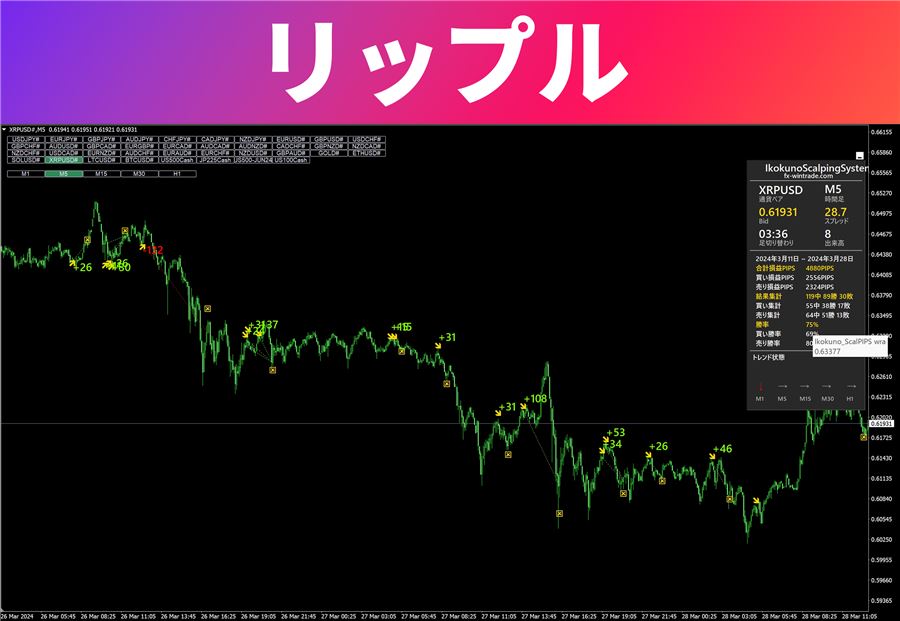 リップル（5分足）での表示例
