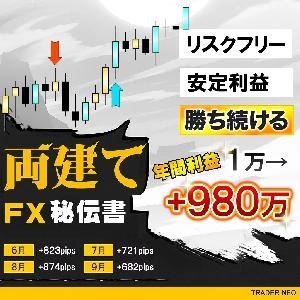 両建てFX秘伝書の商品画像