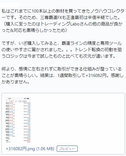 購入者からのメッセージ（1週間の取引で+316,082円という報告）