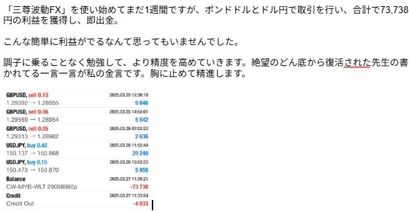 購入者からのメッセージ（ポンドドルとドル円で合計73,738円の利益という報告）