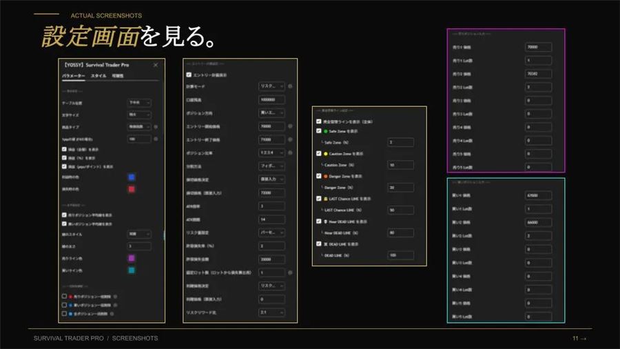 設定画面。表示・エントリー計画・資金管理ライン・ポジション入力の各項目